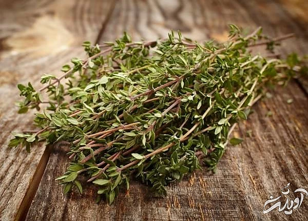 خواص و فواید آویشن